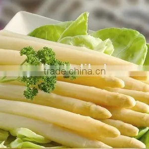 Canned White Asparagus thumbnail-6