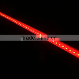 Led Strip 5050warm White /cold White/ Blue Color With Plastic Cover Led Lamp Wholesale CE&RoHS thumbnail-4