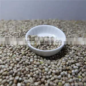Hemp Seeds for Sale thumbnail-5