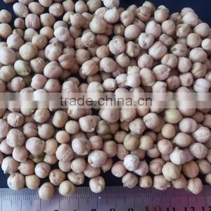 White Sorghum With Good Quality New Corp thumbnail-2