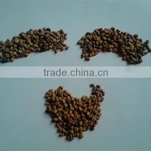 High Quality Pure Seeds Morning Glory thumbnail-6