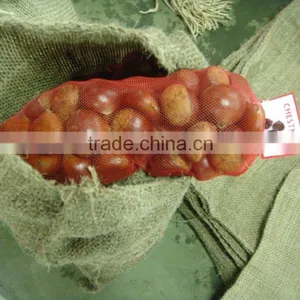 Bulk Fresh Chestnut for Sale thumbnail-6