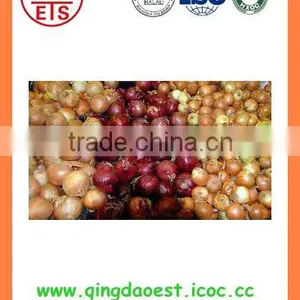 Export Fresh New Crop Red Yellow Onion thumbnail-3