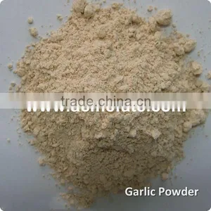Single Spices Fresh Granulated Garlic thumbnail-2