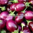 Brinjal thumbnail-1