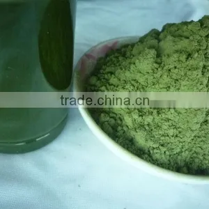 Health Food Organic Wheat Grass Powder thumbnail-3