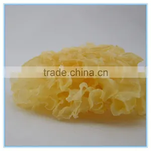 Dried White Jelly Fungus Manufacturer thumbnail-1