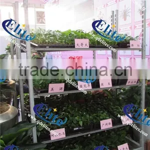 124 Seedling the Flower and Pot Plant Trolley , Seedling Pool Rack, Seedling Pot Plant Trolley thumbnail-5