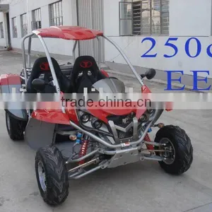 250cc Racing go Karts/dune Buggy thumbnail-1