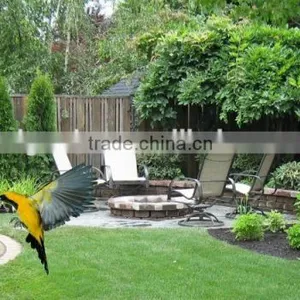 Bird Feeder Parts,wild Bird Feeders,bird Feeder thumbnail-4