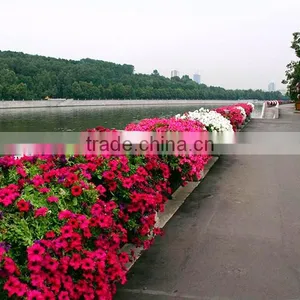SOL 2015 Factory Price Saddle Planter Fence Greening Planter thumbnail-1