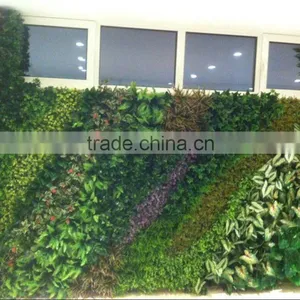 Artificial Green Wall for Gymnasium thumbnail-4