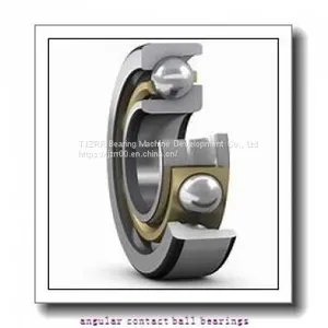 FAG 3206-BD-C3 Angular Contact Ball Bearings thumbnail-2