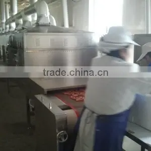 High Efficient Continuous Microwave Dryer thumbnail-6