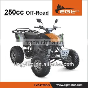 ATV Dune Buggy 250CC thumbnail-1
