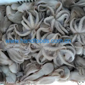 Frozen Cleaned Baby Octopus thumbnail-2