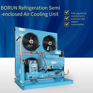 Aquatic Products Cold Storage, Borun Refrigeration Cold Storage Unit, 4 Hp, 4yd - 4.2, Beautiful Appearance, Panasonic Cold Storage Refrigeration Unit With Beautiful Appearance thumbnail-5