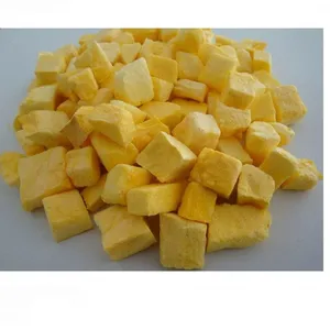 Shanghai FD Freeze Dried Plants Strawberry Powder High Quality Drying Equipment thumbnail-2