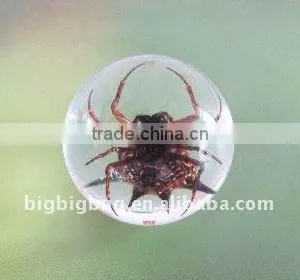 R25S05 Acrylic Insect-embedded Marble thumbnail-1