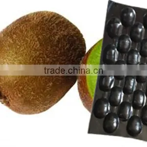 High Quality OEM Foam Food Packaging Tray, Strip EPS Foam Tray for Packaging, EPS Plastic Foam Meat Tray thumbnail-4