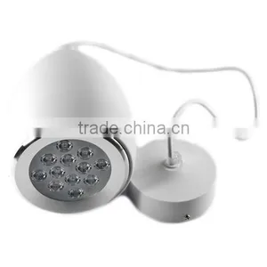 The Wax Gourd 9W 12W LED Pendant Lights Fashionable LED Art Chandelier Droplight thumbnail-6