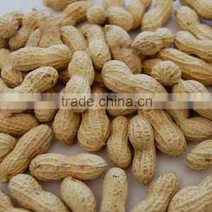 Raw Shandong Peanut thumbnail-1