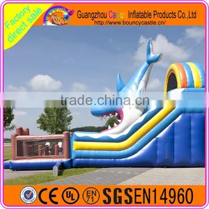 Blue Whale Inflatable Water Slide thumbnail-2