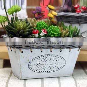 Garden Tin Planter for the Decor thumbnail-1