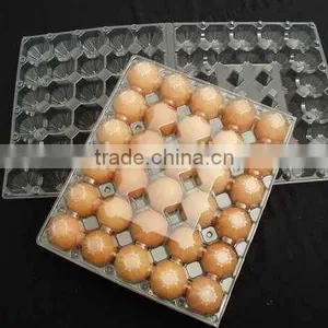 PLC Control Vacuum Forming Machine With Touch Screen thumbnail-4