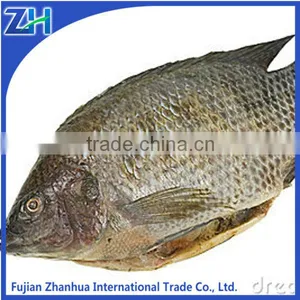 Frozen Tilapia Whole Fish Price GS thumbnail-1