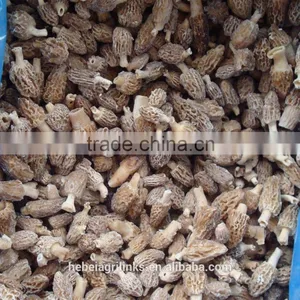 IQF Frozen Style Chinese Morel Mushroom thumbnail-1