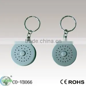 Musical Keychain,sound Keychain,voice Box Keychain thumbnail-1