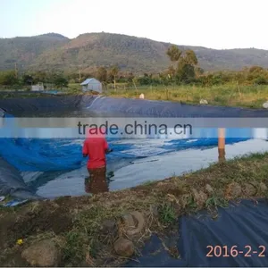 the Traditional Fish Ponds System for Tilapia thumbnail-1