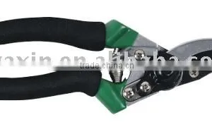 Pruner thumbnail-1