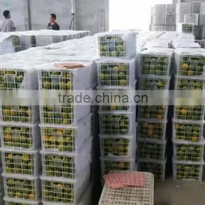 Fresh Mandarin Oranges in 2016 New Crop Sweet for Sale 9kg/box thumbnail-5