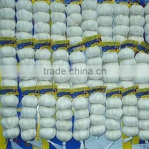 GLOBALGAP Pure White Garlic thumbnail-1