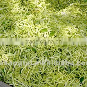 Honeysuckle Flower(TCM) thumbnail-1