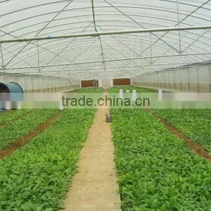 Vegetable Growing Greenhouse (ISO9001:2000) thumbnail-1