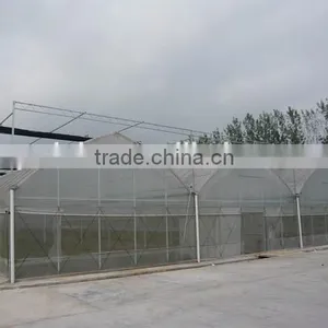 Film Greenhouse for Sale thumbnail-1