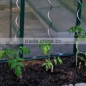Galvanized Plant Support-tomato Spiral Support (factory) in China thumbnail-1