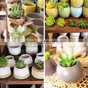 Artificial Plant Indoor Decoration Artificial Potted Plants Artificial Succulent Plants thumbnail-2