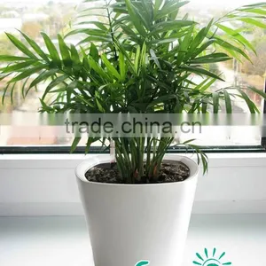 2014 New Flower Pots Planter for Balcony Flower Outdoor thumbnail-2