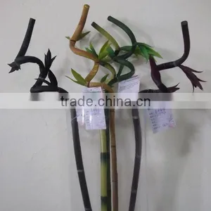 Spiral Lucky Bamboo Pole/dracaena Wandering, Decorative Bamboo Plant thumbnail-6