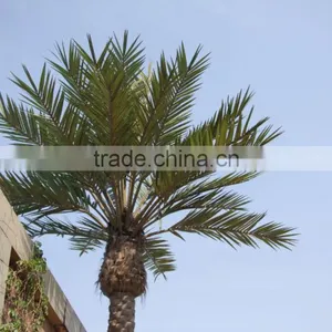Newest Design Top Quality Artificial Palm Tree Leaves thumbnail-5