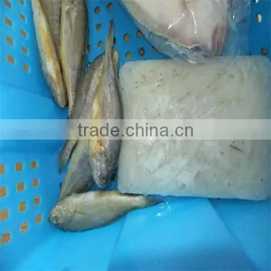 Iqf Deep Sea Fish Seafood Online thumbnail-1