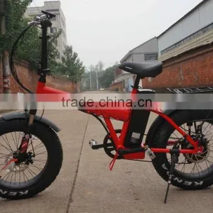 20inch With CE Certificate Foldable Fat Tire Brushless Hub Motor Electric Folding Bike thumbnail-2