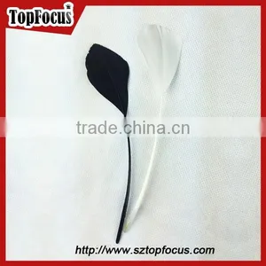 Fashion Factory Prices Wholesale Prime Quality Dyed Goose Wing Feather thumbnail-1