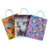 Gift Bags thumbnail-1