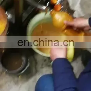 Juice Extractor Machine / Spiral Fruit Juicer And Crusher / Fruit Seed Crusher and Juicer thumbnail-1