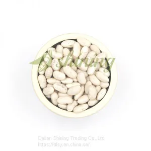 High Quality White Kidney Bean Spanish Type thumbnail-4